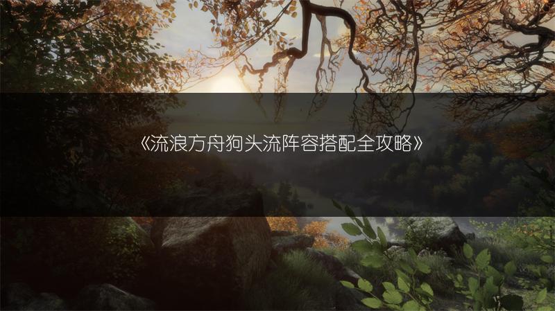 《流浪方舟狗头流阵容搭配全攻略》