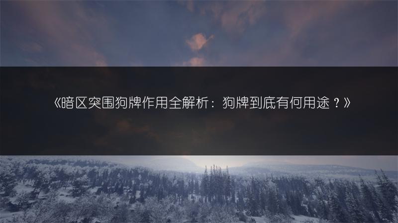 《暗区突围狗牌作用全解析：狗牌到底有何用途？》