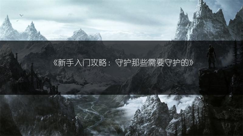 《新手入门攻略：守护那些需要守护的》