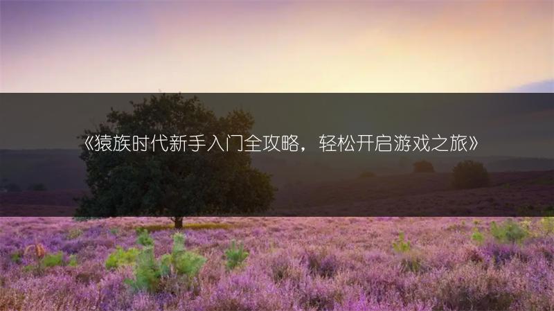 《光遇破晓季可兑换物品全知道》