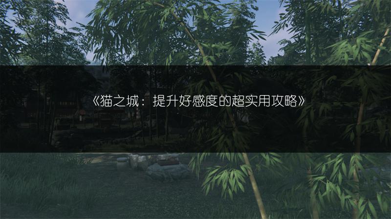 《猫之城：提升好感度的超实用攻略》