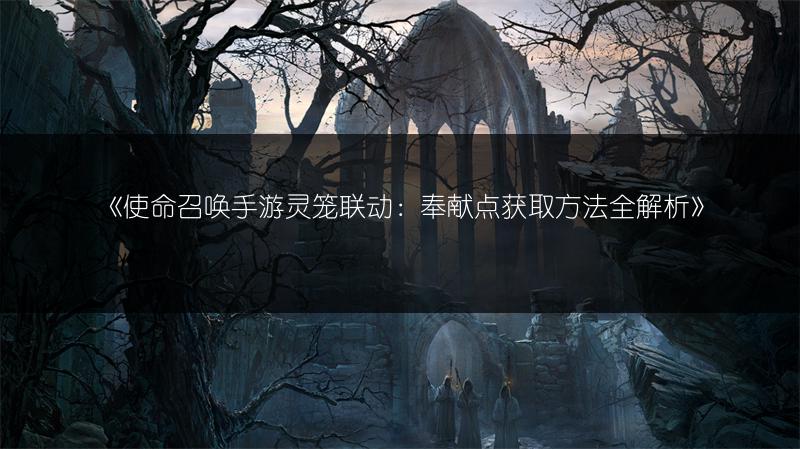 《使命召唤手游灵笼联动：奉献点获取方法全解析》