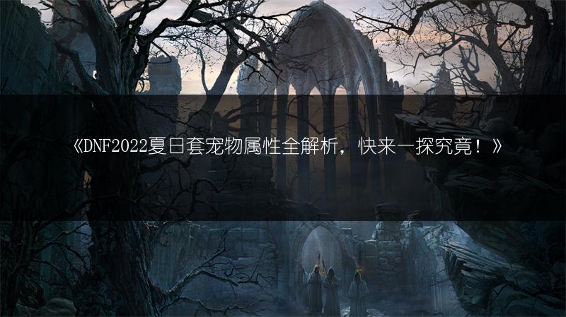 《DNF2022夏日套宠物属性全解析，快来一探究竟！》