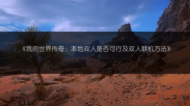 《我的世界传奇：本地双人是否可行及双人联机方法》