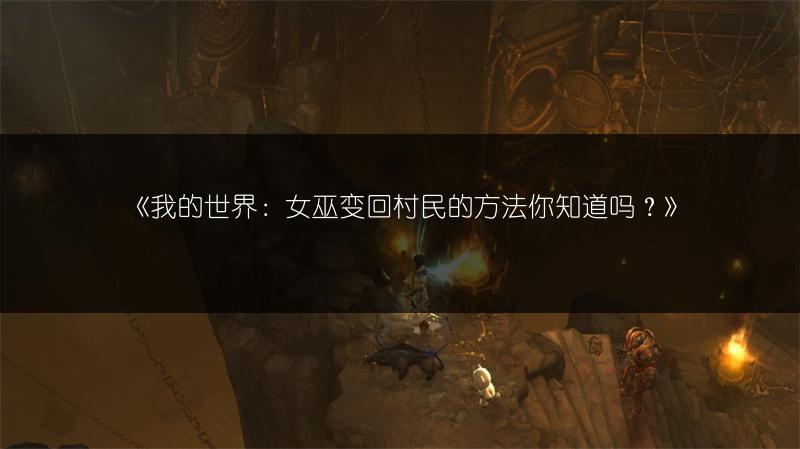 《我的世界：女巫变回村民的方法你知道吗？》