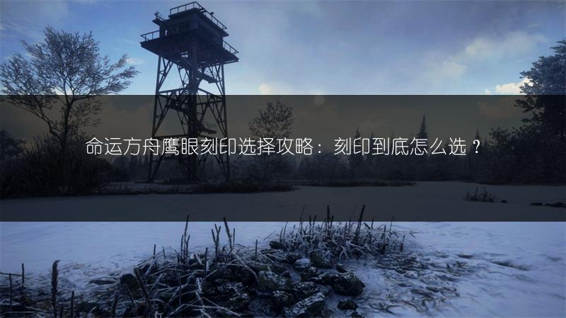 命运方舟鹰眼刻印选择攻略：刻印到底怎么选？