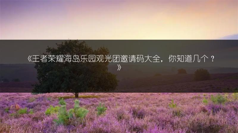 《王者荣耀海岛乐园观光团邀请码大全，你知道几个？》