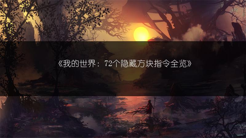 《我的世界：72个隐藏方块指令》