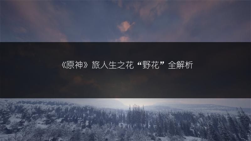 《原神》旅人生之花“野花”全解析