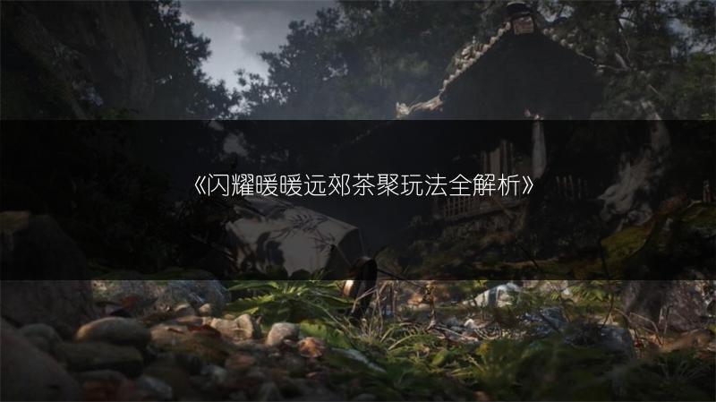 《闪耀暖暖远郊茶聚玩法全解析》