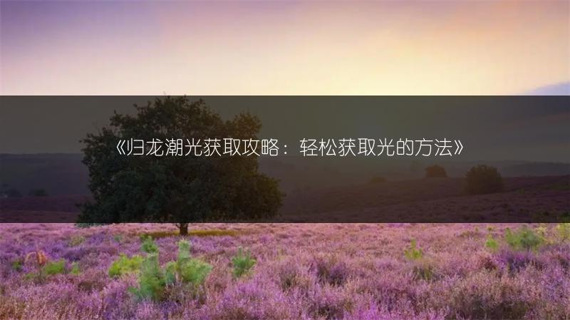 《归龙潮光获取攻略：轻松获取光的方法》