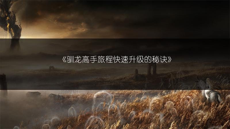 《驯龙高手旅程快速升级的秘诀》
