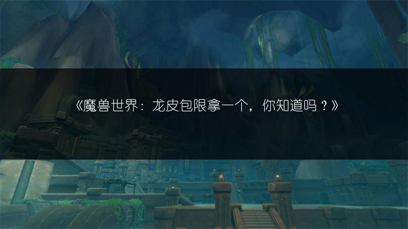 《魔兽世界：龙皮包限拿一个，你知道吗？》