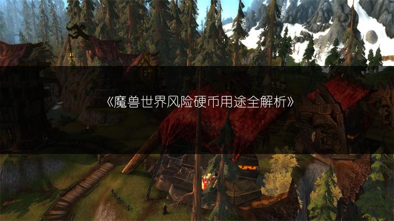 《魔兽世界风险硬币用途全解析》