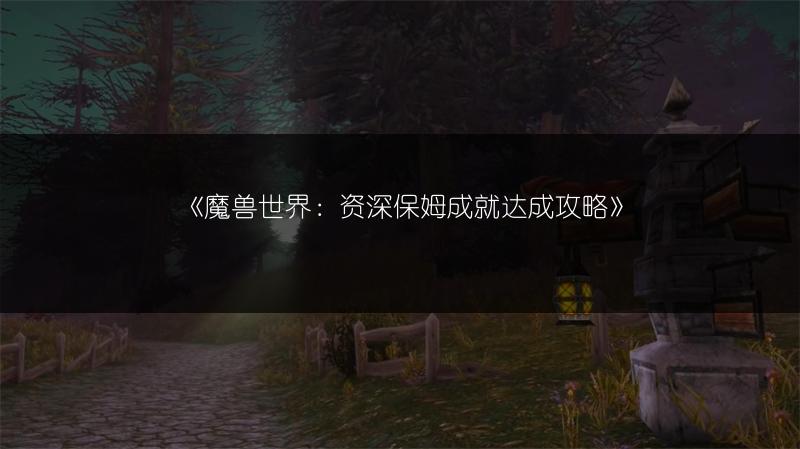 《魔兽世界：资深保姆成就达成攻略》