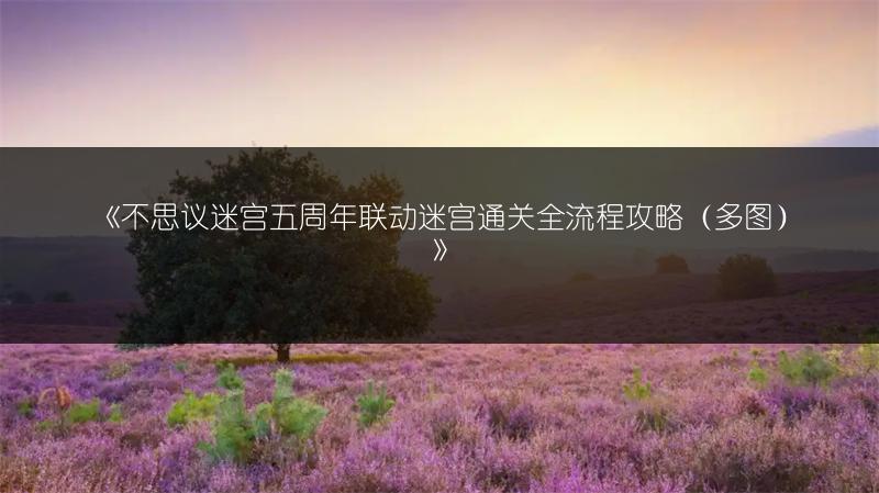 《不思议迷宫五周年联动迷宫通关全流程攻略（）》