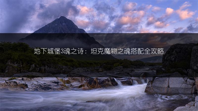 地下城堡3魂之诗：坦克魔物之魂搭配全攻略