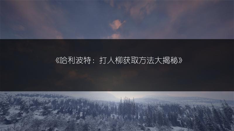 《哈利波特：打人柳获取方法大揭秘》