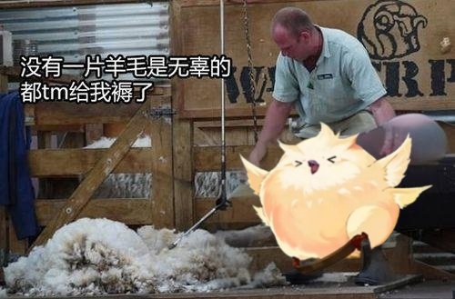 DNF帕尼柏大作战任务怎么做_DNF帕尼柏大作战任务攻略