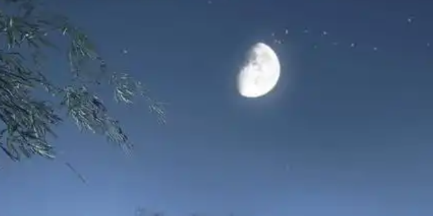 逆水寒手游童稚之交奇遇攻略 逆水寒手游童稚之交奇遇攻略