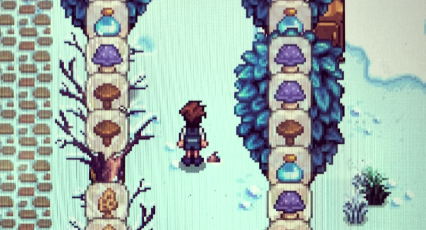 星露谷物语普通蘑菇获得方法 星露谷物语普通蘑菇获得方法