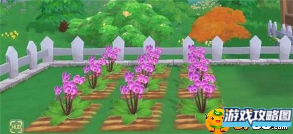 摩尔庄园手游蝴蝶兰怎么获得 摩尔庄园手游蝴蝶兰怎么获得