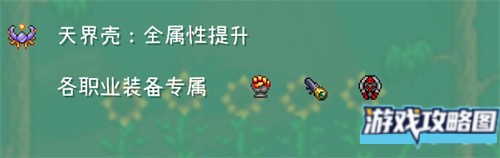 泰拉瑞亚法师毕业饰品如何选择