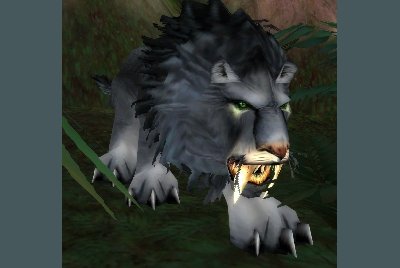 魔兽世界wlk猫科宝宝哪里抓