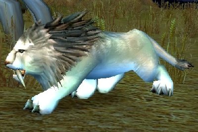 魔兽世界wlk猫科宝宝哪里抓