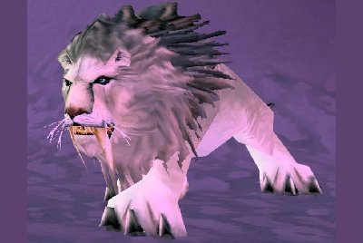 魔兽世界wlk猫科宝宝哪里抓