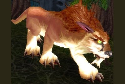 魔兽世界wlk猫科宝宝哪里抓