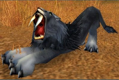 魔兽世界wlk猫在哪抓