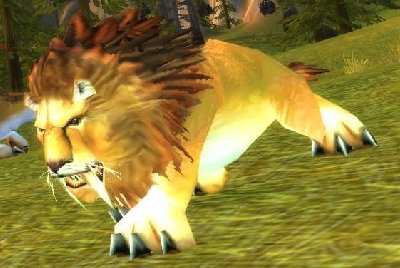 魔兽世界wlk猫在哪抓