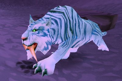 魔兽世界wlk猫在哪抓