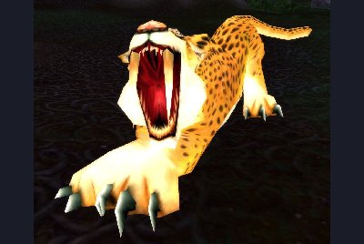 魔兽世界wlk猫在哪抓