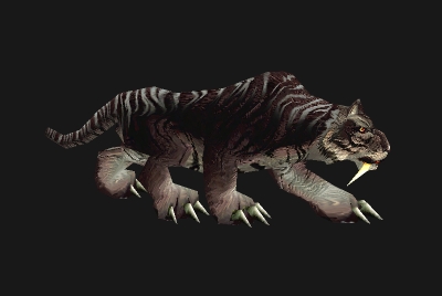 魔兽世界wlk猫在哪抓