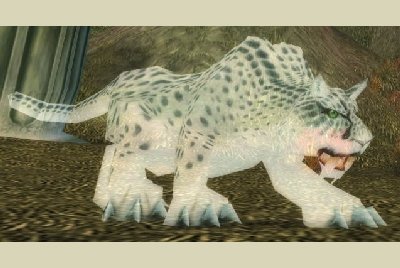 魔兽世界wlk猫在哪抓