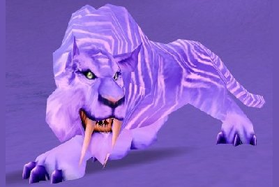 魔兽世界wlk猫在哪抓