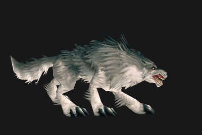 魔兽世界wlk狼在哪抓