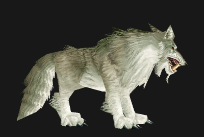 魔兽世界wlk狼在哪抓