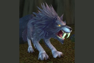 魔兽世界wlk狼在哪抓