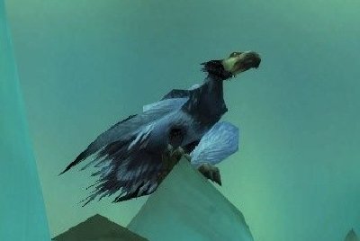 魔兽世界wlk食腐鸟在哪抓