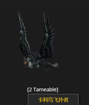 魔兽世界wlk猫头鹰哪里抓