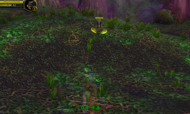 魔兽世界wlk什么种族厉害