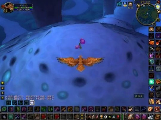 魔兽世界TBC德鲁伊大鸟任务怎么完成