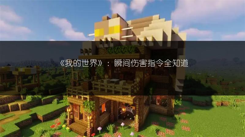 《我的世界》：瞬间伤害指令全知道