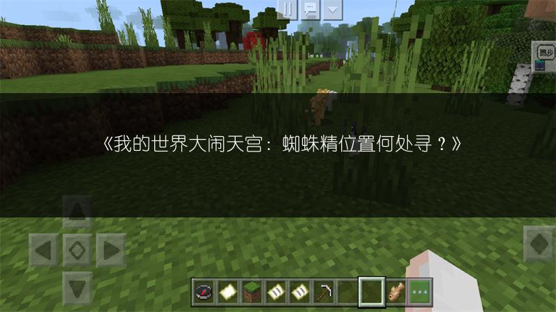 《我的世界大闹天宫：蜘蛛精位置何处寻？》