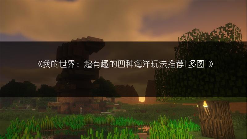 《我的世界：末地船能否移动？探索其可能性》