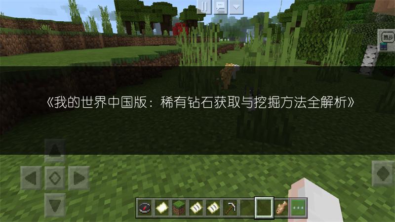 《我的世界中国版：稀有钻石获取与挖掘方法全解析》
