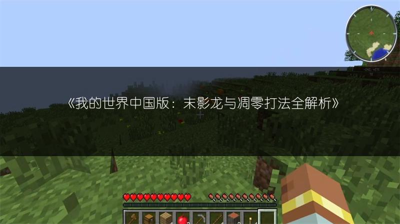 《我的世界中国版：末影龙与凋零打法全解析》